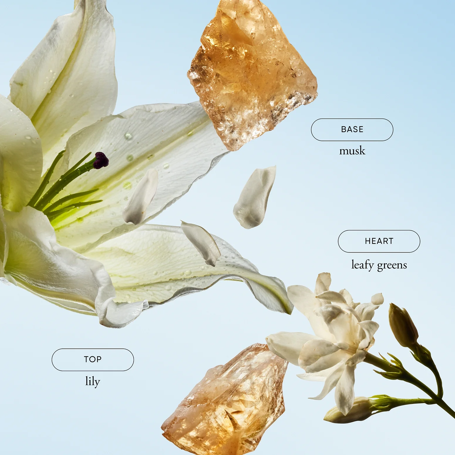 230-travel-size-pure-grace-eau-de-toilette-2.webp travel size pure grace eau de toilette