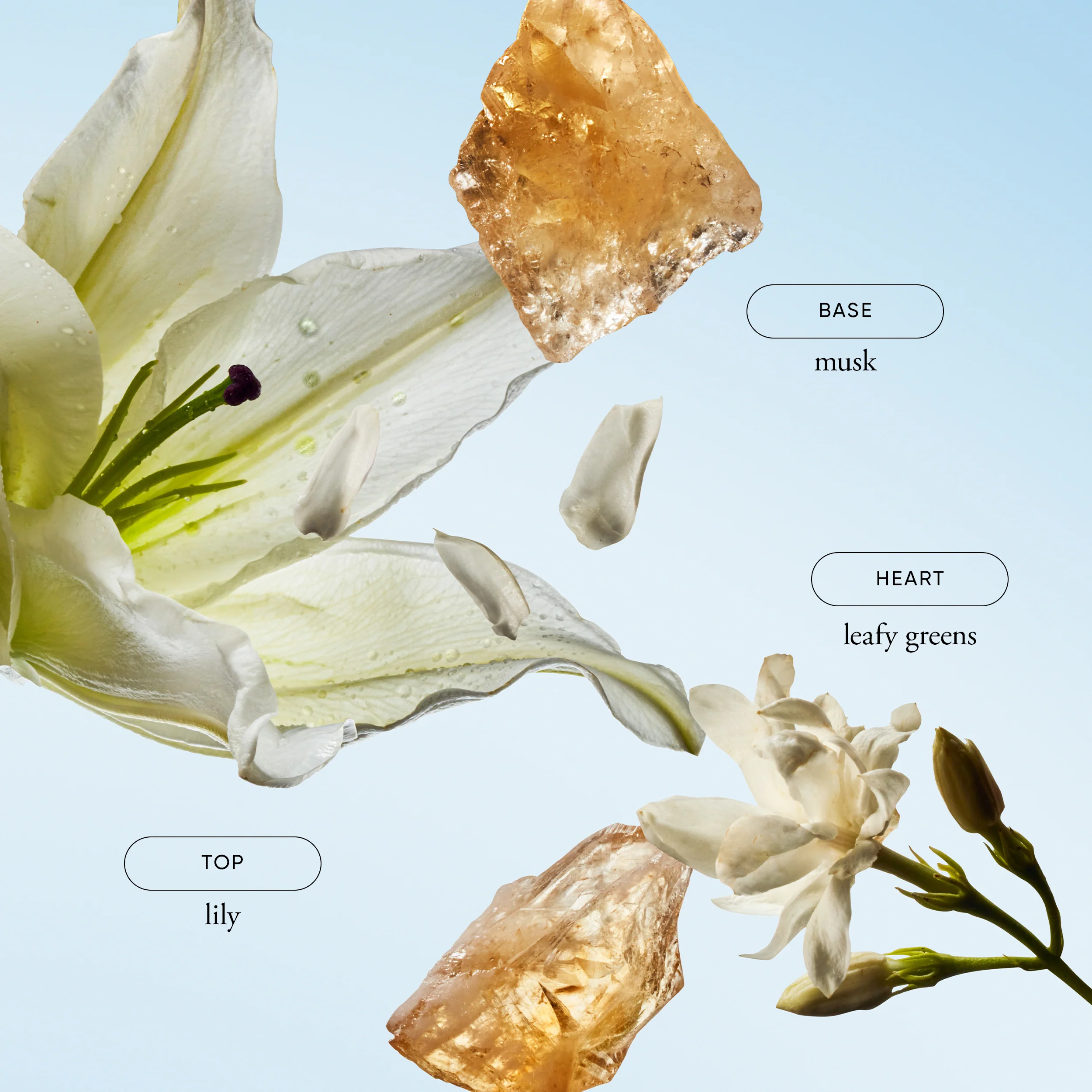 62-pure-grace-firming-body-emulsion-2.webp pure grace firming body emulsion